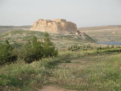 DSC03134.jpg